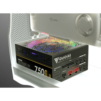 750G-80-PLUS-Gold-Fully-Modular12-500×500-1