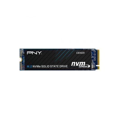 PNY_CS1031